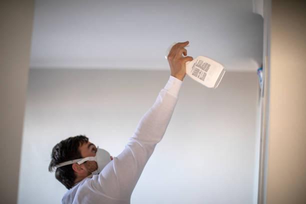 Best Bathroom Mold Remediation in New Port Richey, FL