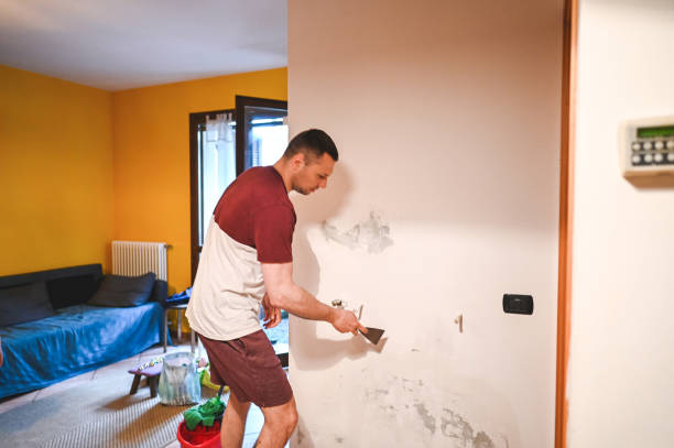 Best Mold Remediation for Schools in New Port Richey, FL